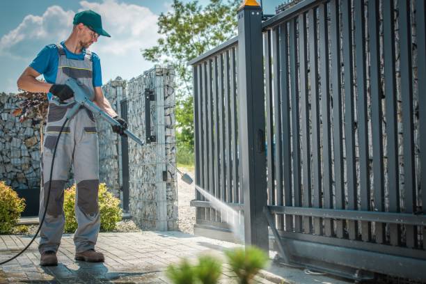 Best Driveway Cleaning and Restoration in Townsend, DE