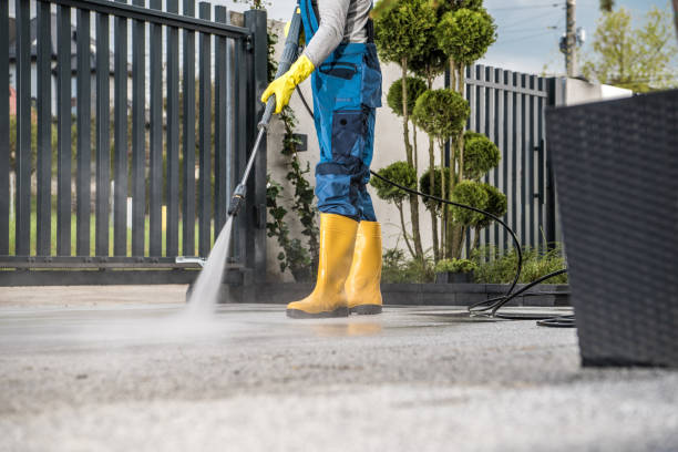 Best Window and Screen Pressure Cleaning in Townsend, DE